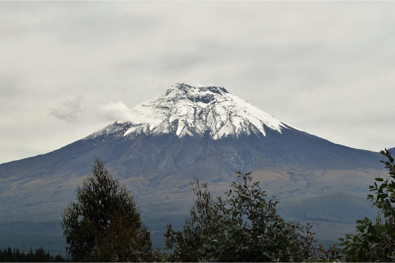 ecuador